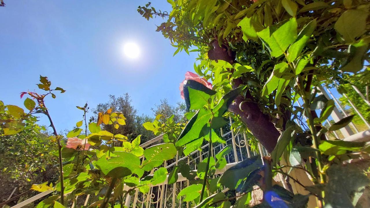 Euryclea Apartments Perachori المظهر الخارجي الصورة